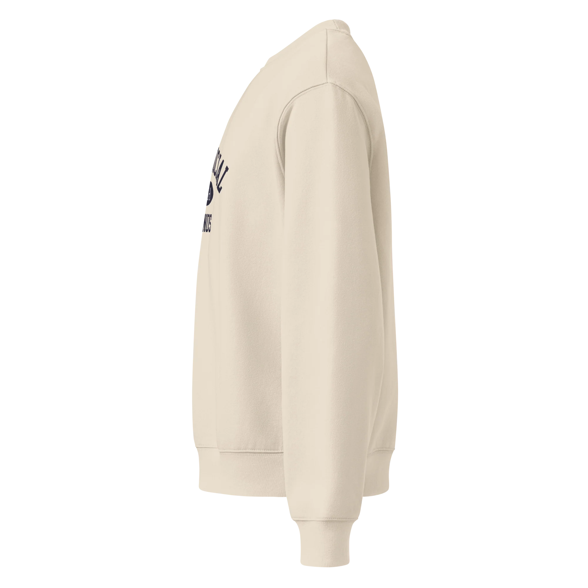 Camp Social heavyweight sweatshirt - Image 7